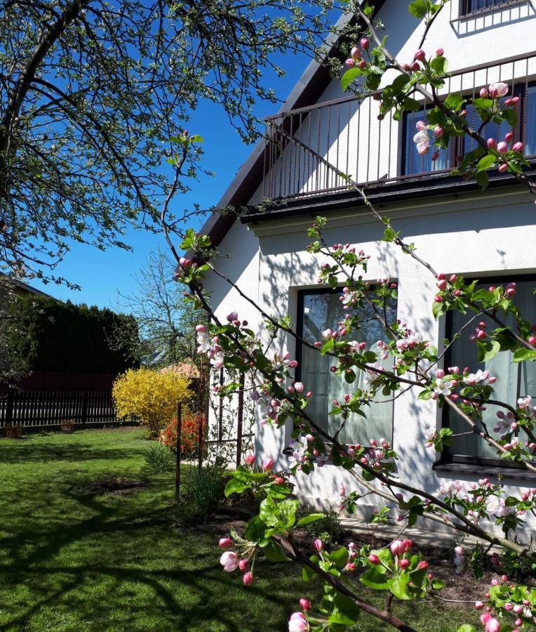 Dina Apartments Druskininkai Buitenkant foto